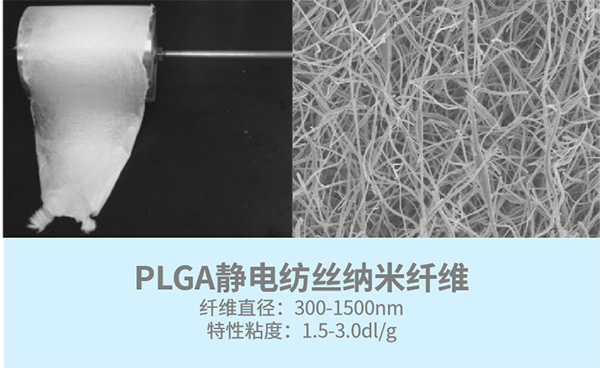 PLGA