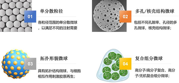 具有特定结构设计的微球设计